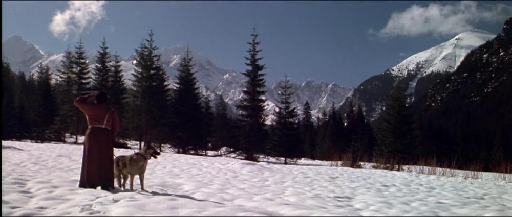 ラビナスの画像