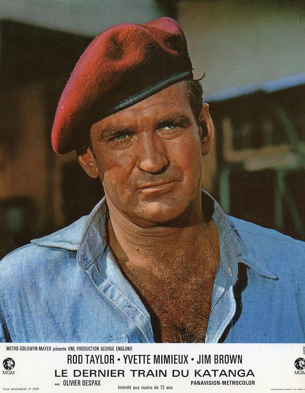 「戦争プロフェッショナル」ロッド・テイラーの画像