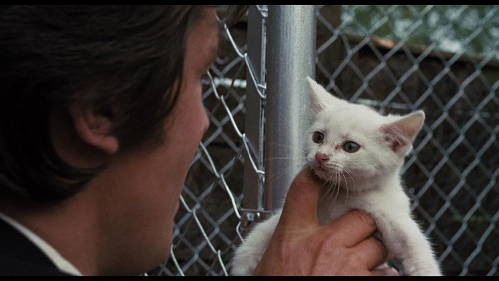 スコルピオの画像