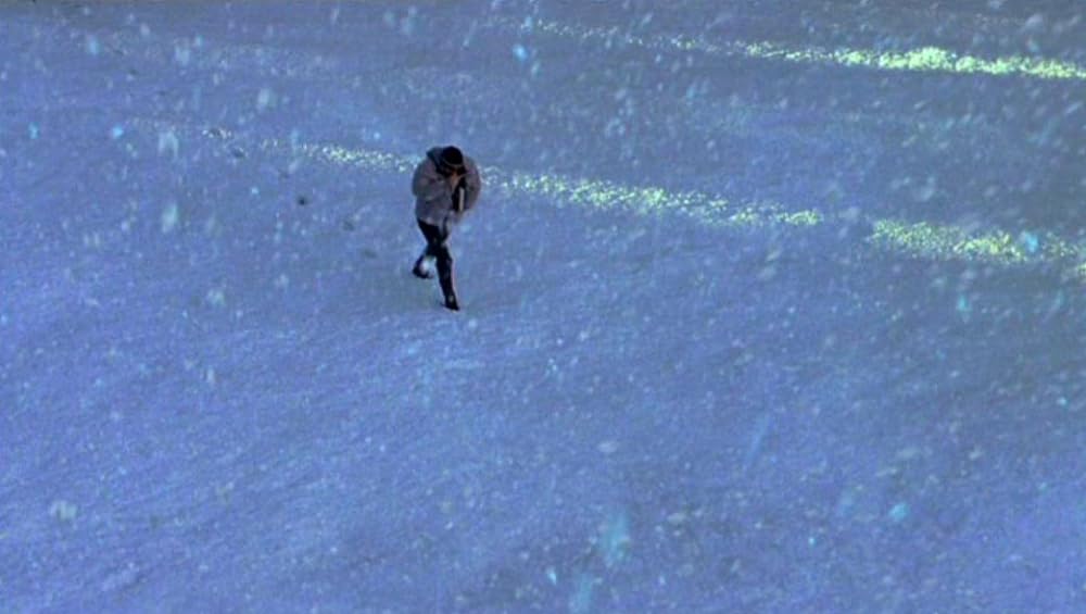 ルールズ・オブ・アトラクションの画像