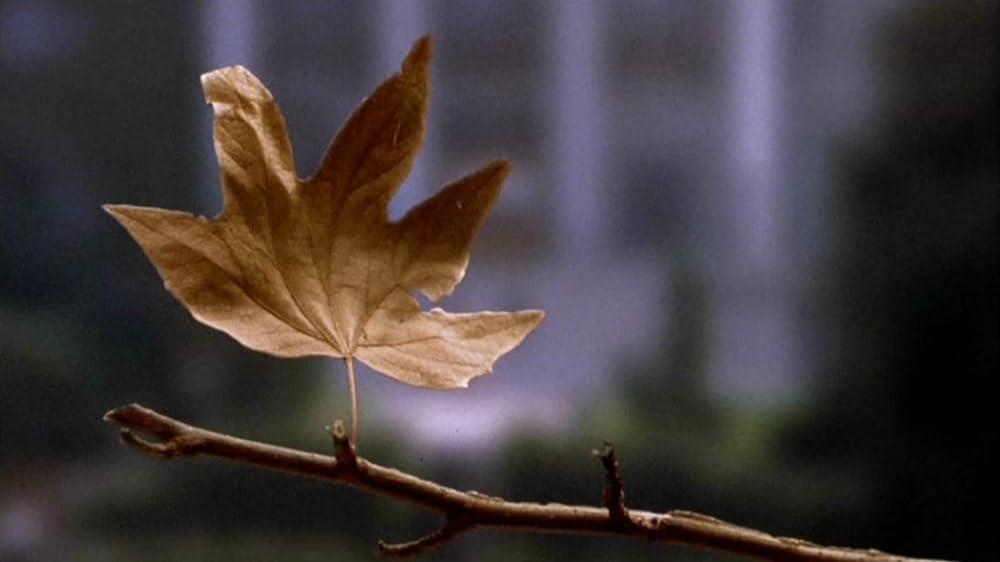 ルールズ・オブ・アトラクションの画像