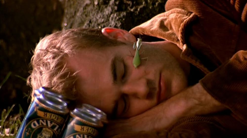 ルールズ・オブ・アトラクションの画像