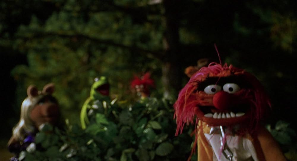 ゴンゾ宇宙に帰るの画像