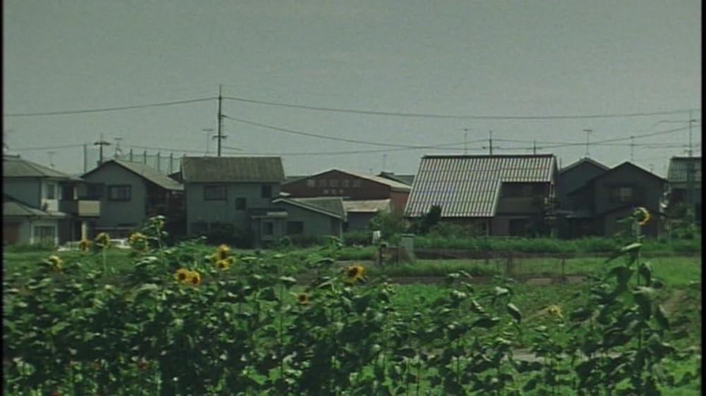 DEAD OR ALIVE 2 逃亡者の画像