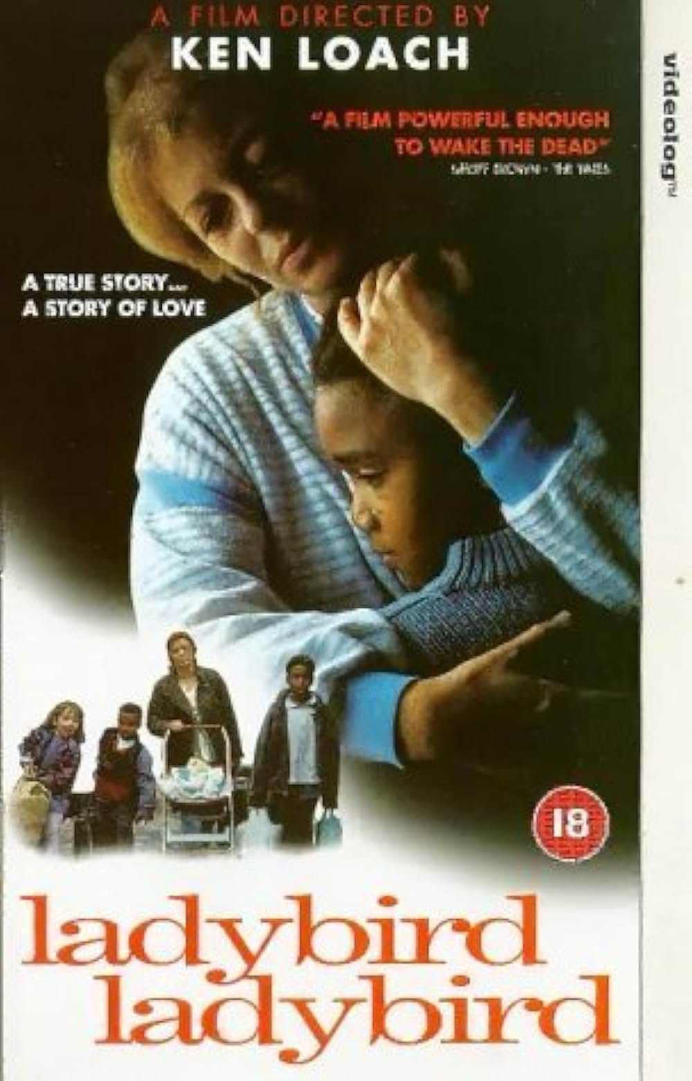 レディバード・レディバードの画像