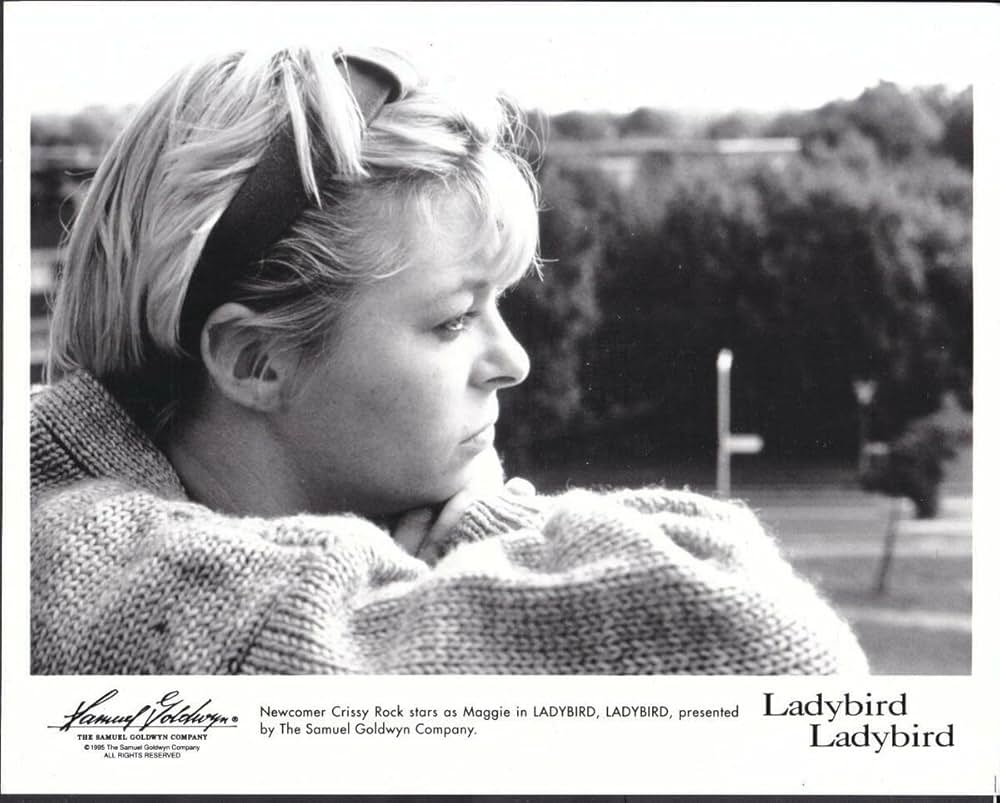 レディバード・レディバードの画像