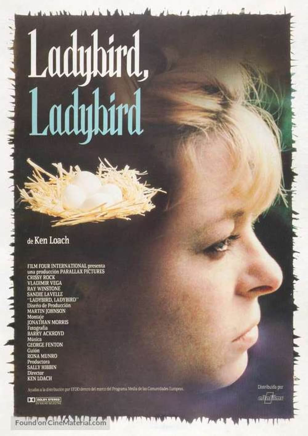 レディバード・レディバードの画像