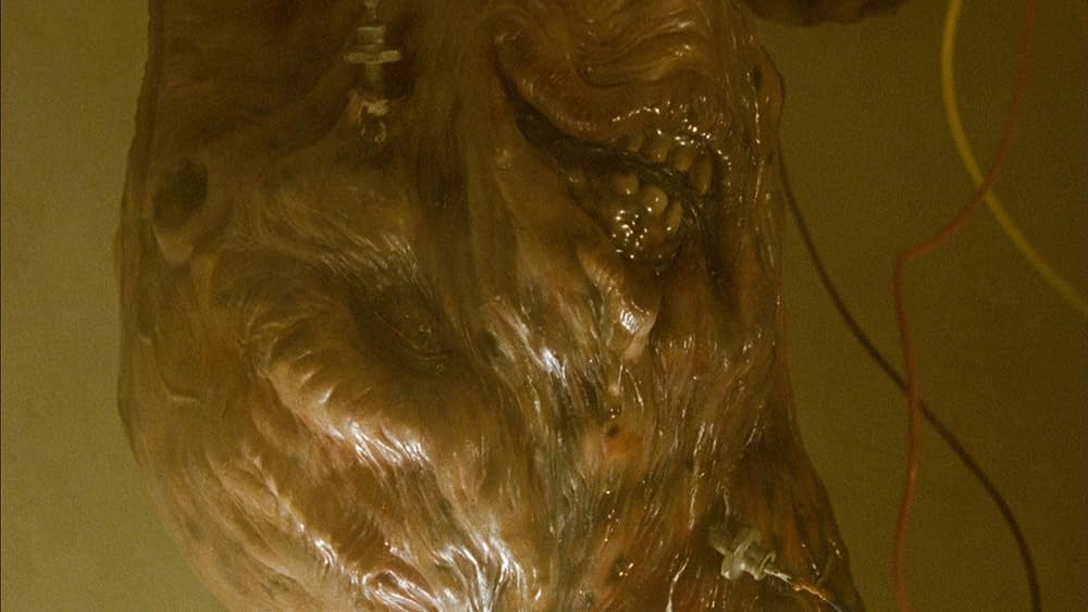 ガイバーの画像