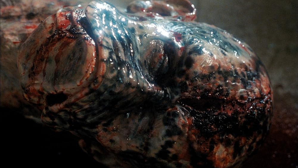 ガイバーの画像