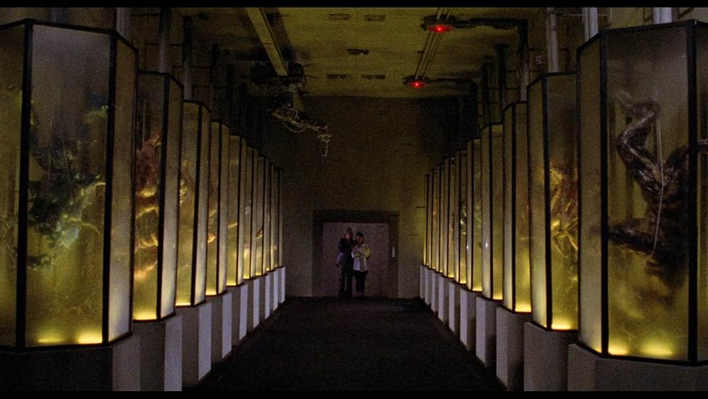 ガイバーの画像