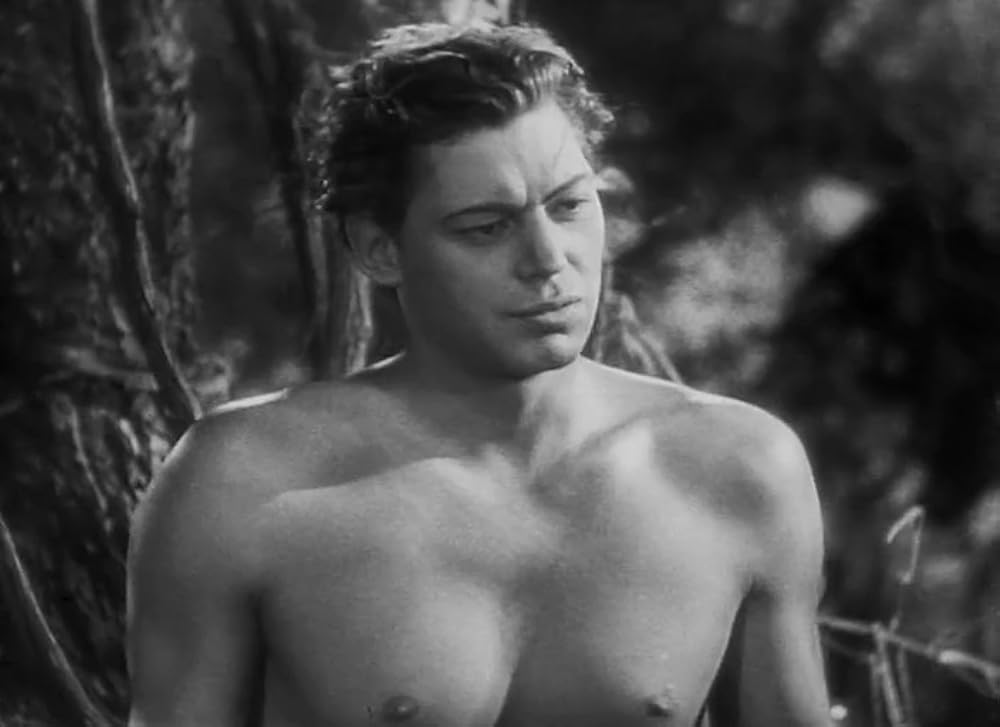 ターザンの復讐の画像