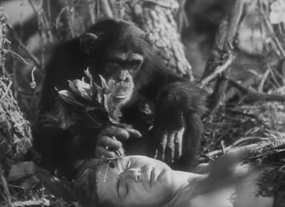 ターザンの復讐の画像