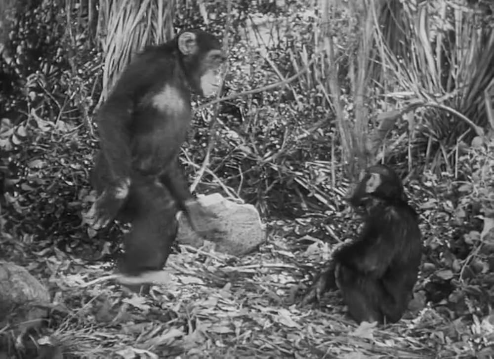 ターザンの復讐の画像