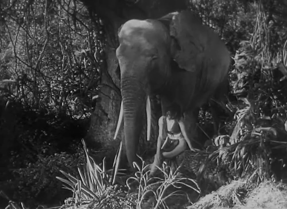 ターザンの復讐の画像