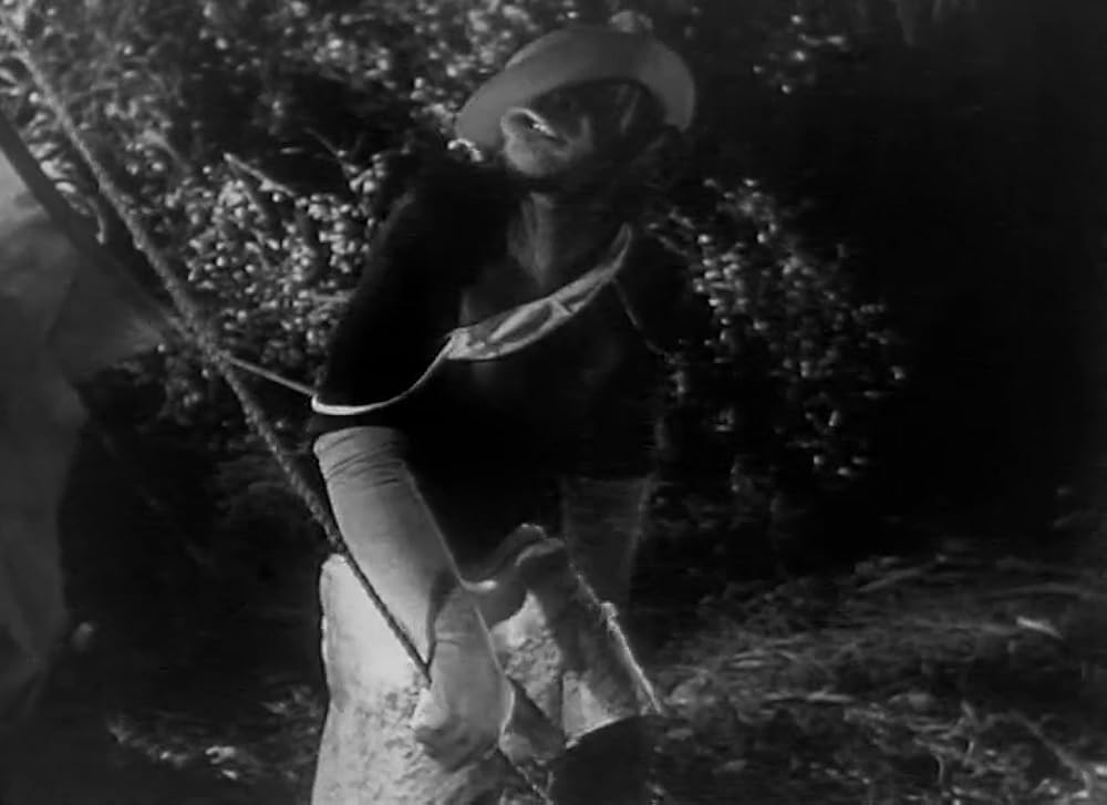 ターザンの復讐の画像