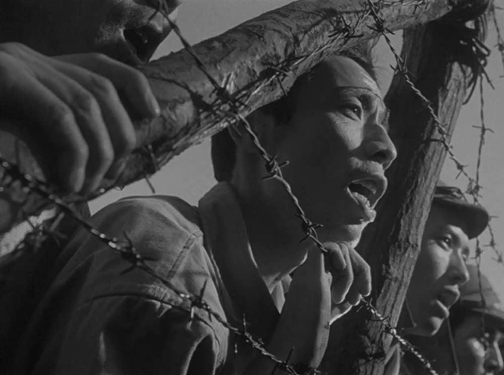 ビルマの竪琴の画像