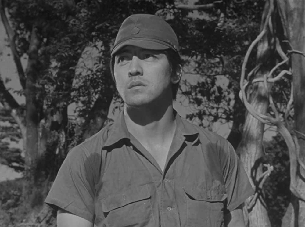 ビルマの竪琴の画像