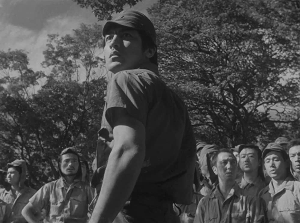 ビルマの竪琴の画像