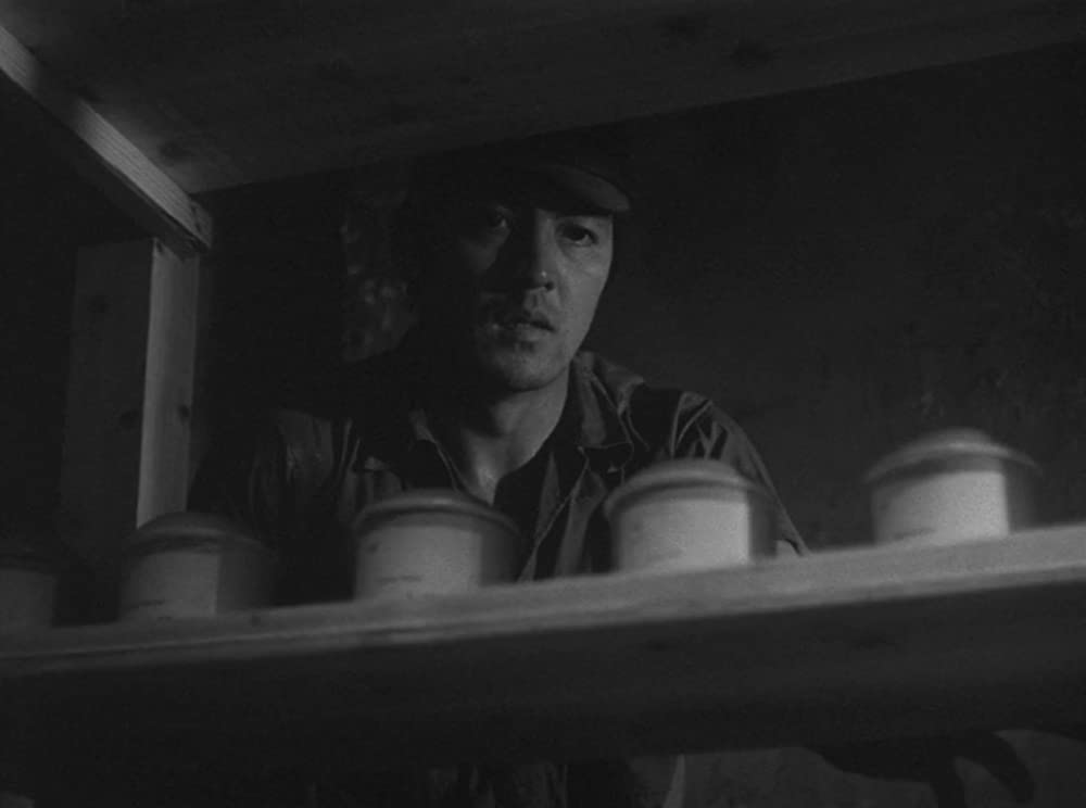 ビルマの竪琴の画像