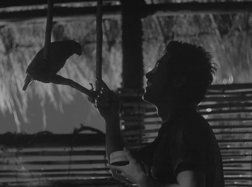 ビルマの竪琴の画像