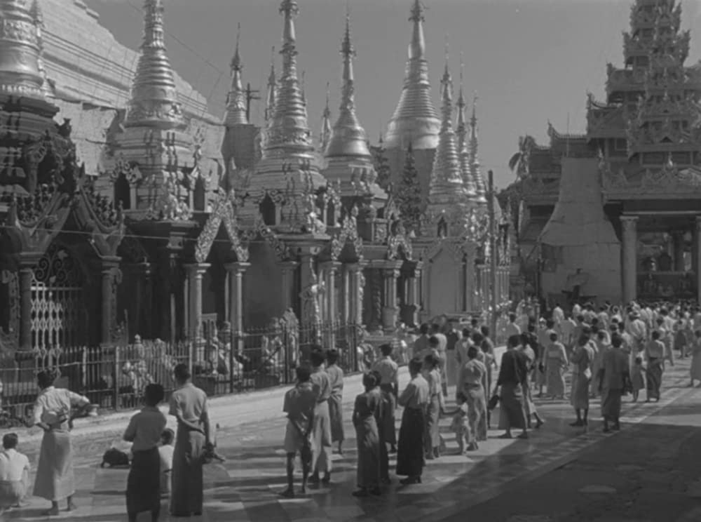 ビルマの竪琴の画像