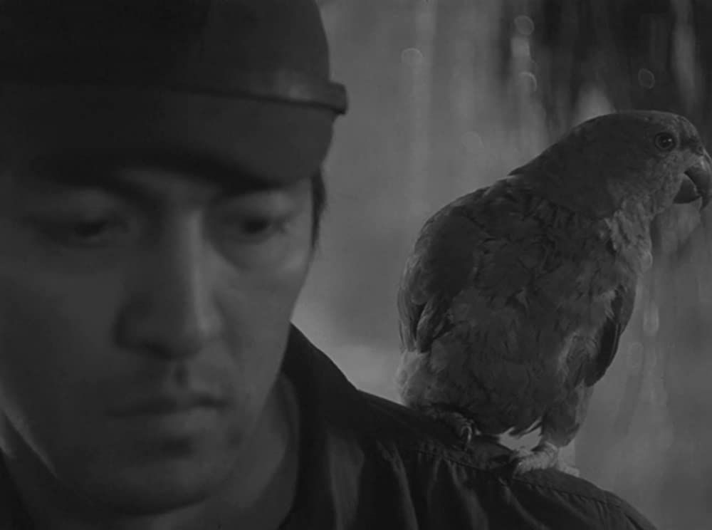 ビルマの竪琴の画像