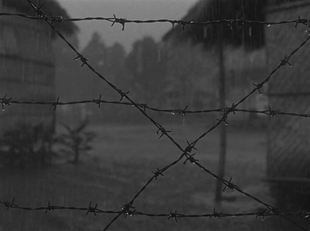 ビルマの竪琴の画像