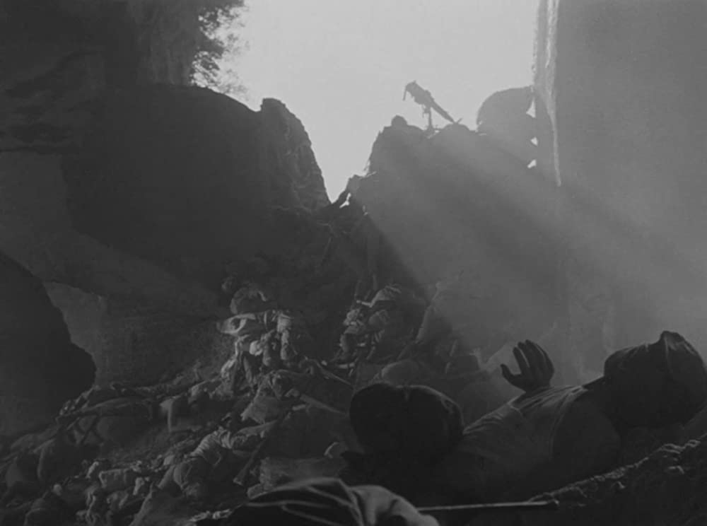 ビルマの竪琴の画像