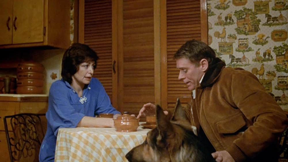 悪魔の凶暴パニックの画像