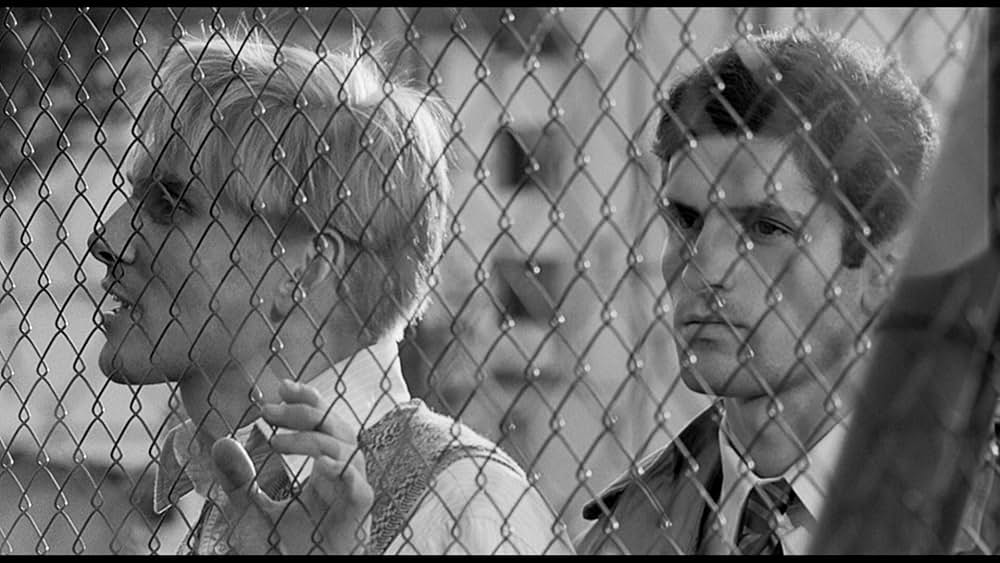 革命前夜の画像