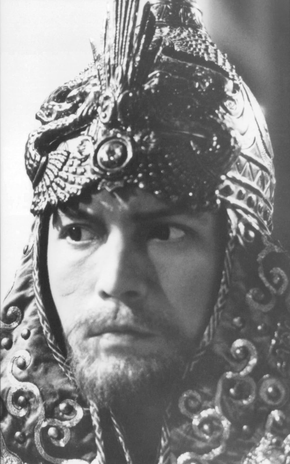 シャドーの画像