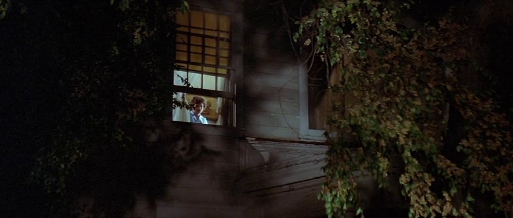 ファンハウス／惨劇の館の画像