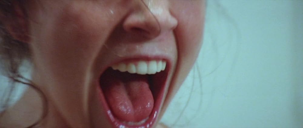 ファンハウス／惨劇の館の画像