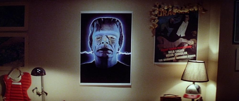 ファンハウス／惨劇の館の画像