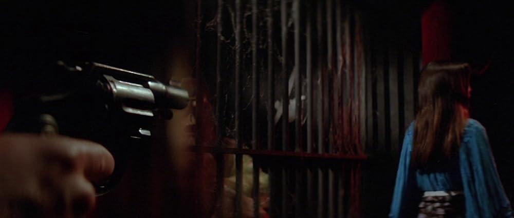 ファンハウス／惨劇の館の画像