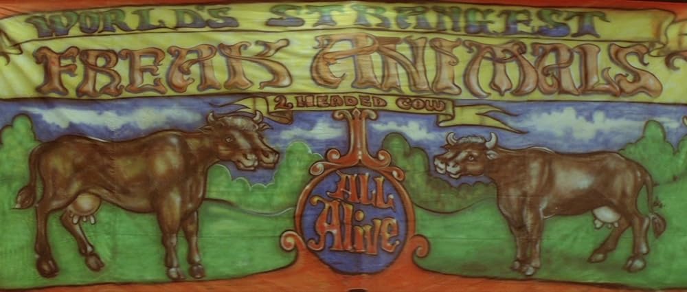 ファンハウス／惨劇の館の画像