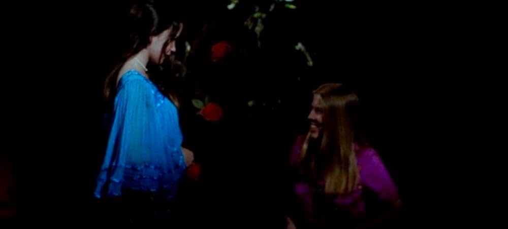 ファンハウス／惨劇の館の画像