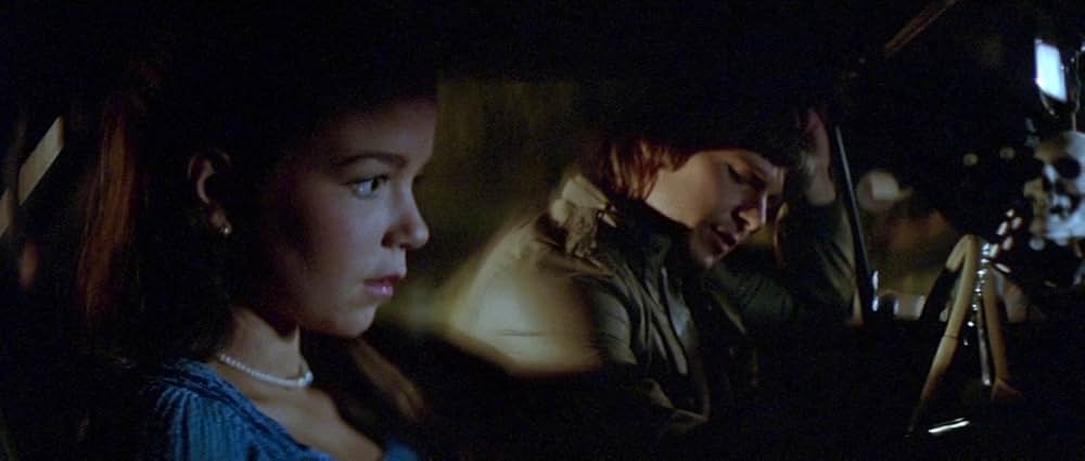 ファンハウス／惨劇の館の画像