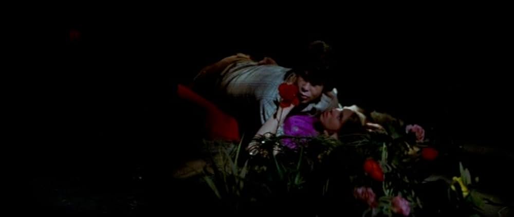 ファンハウス／惨劇の館の画像