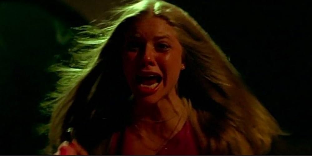 ファンハウス／惨劇の館の画像