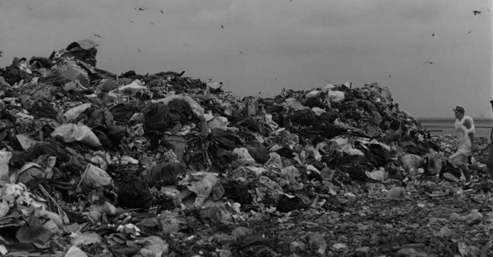 「スターダスト・メモリー」シャロン・ストーンの画像