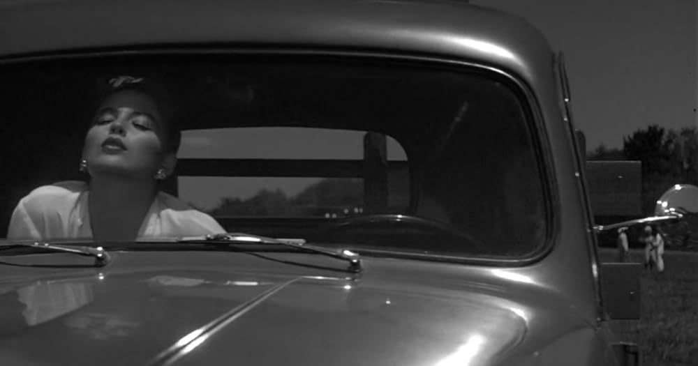 「スターダスト・メモリー」シャロン・ストーンの画像