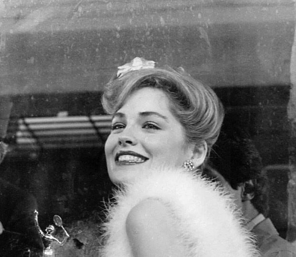 「スターダスト・メモリー」シャロン・ストーンの画像