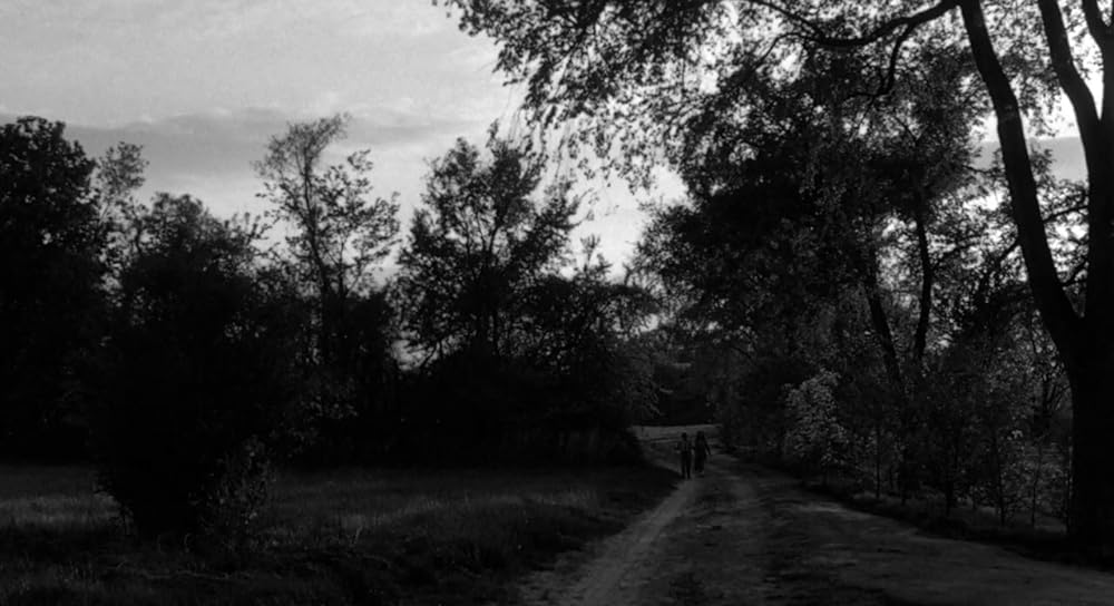 スターダスト・メモリーの画像