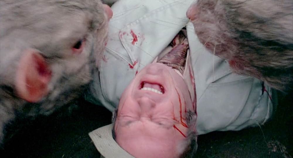 巨大生物の島の画像