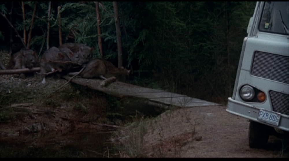 巨大生物の島の画像