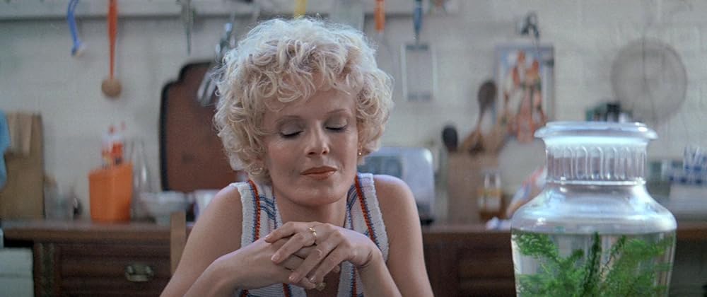 ドラブルの画像