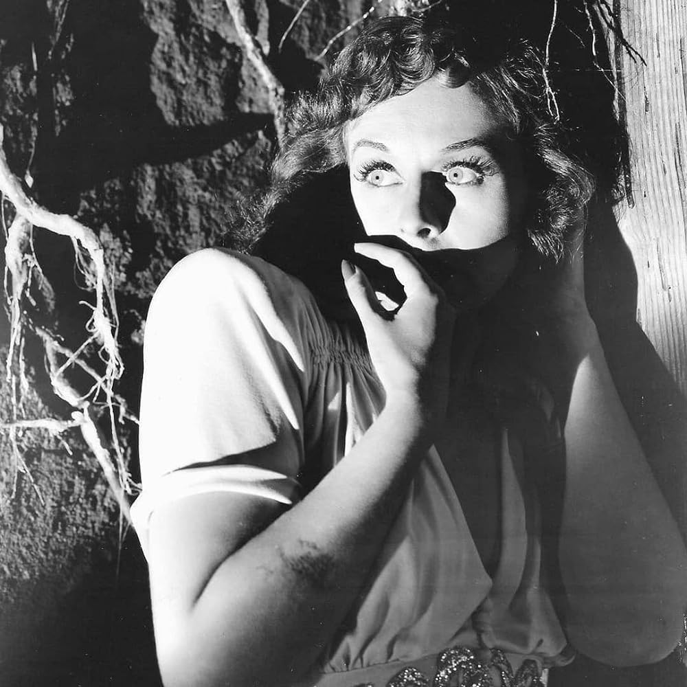 猫とカナリヤの画像