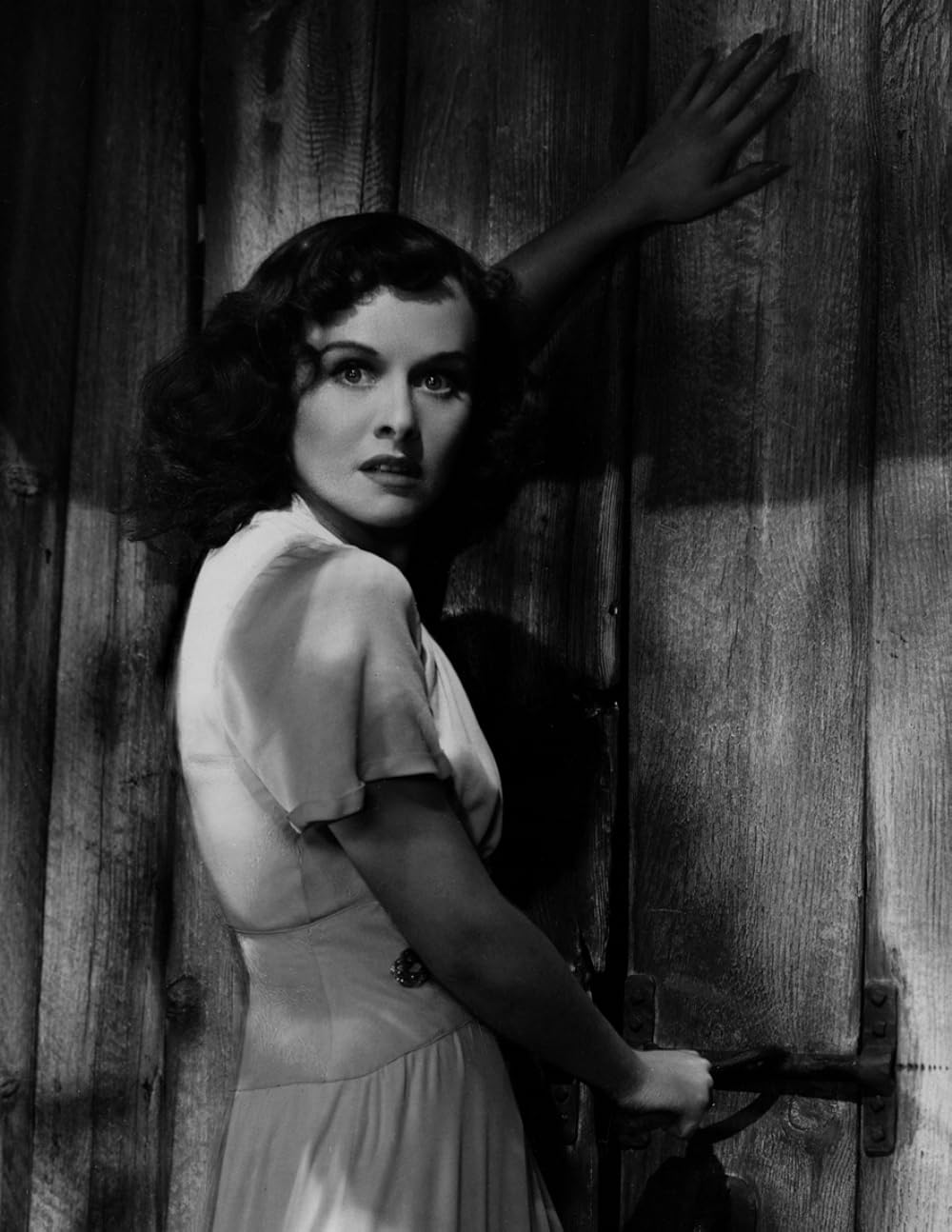 猫とカナリヤの画像