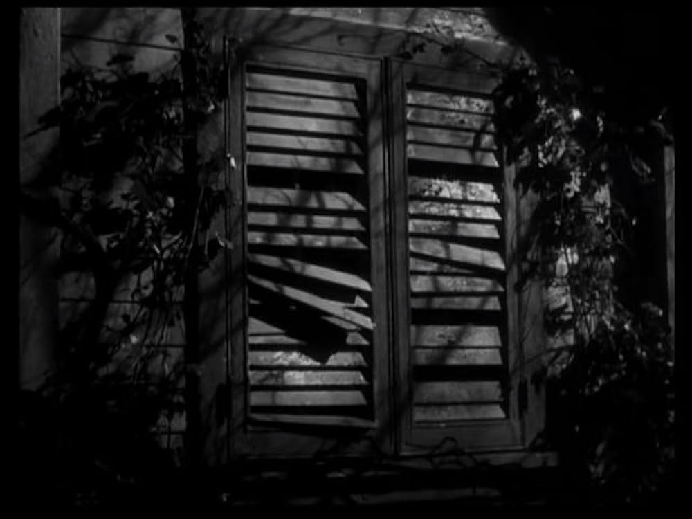 猫とカナリヤの画像